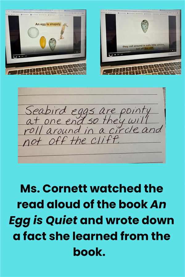 Ms. Cornett Specials BINGO